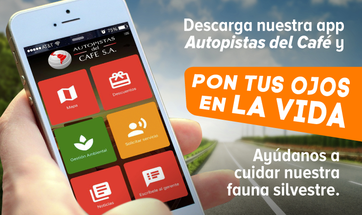 Pon tus ojos en la vida