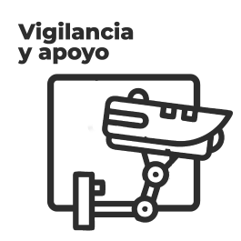 Vigilancia y Apoyo