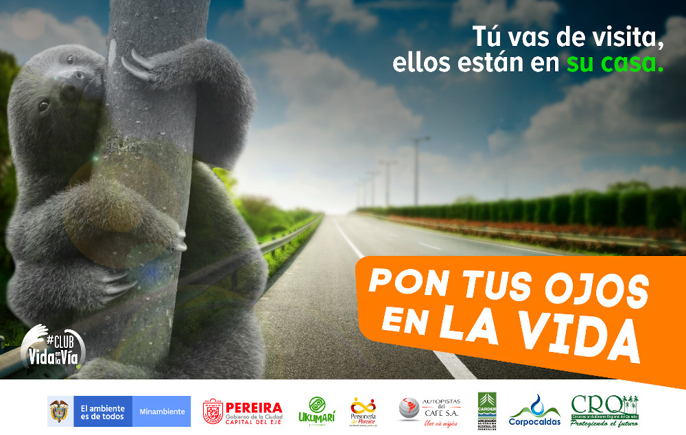 Entidades de tres departamentos se unen para trabajar por la protección de la fauna en las vías del Eje Cafetero