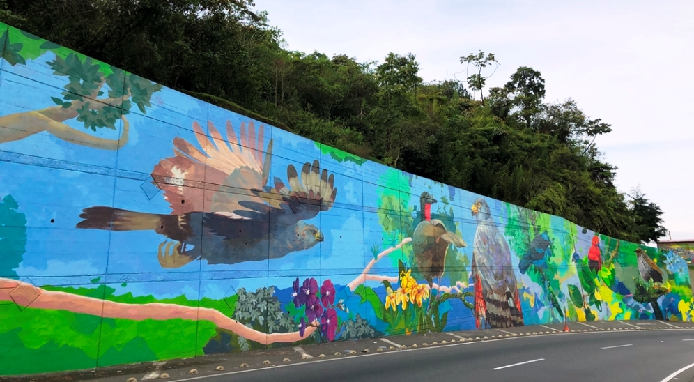 Autopistas del Café, UTP y Gobernación de Risaralda realizan el mural de aves más grande de la región.